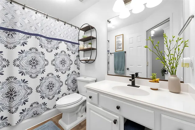 a bathroom with a sink a toilet and shower curtain