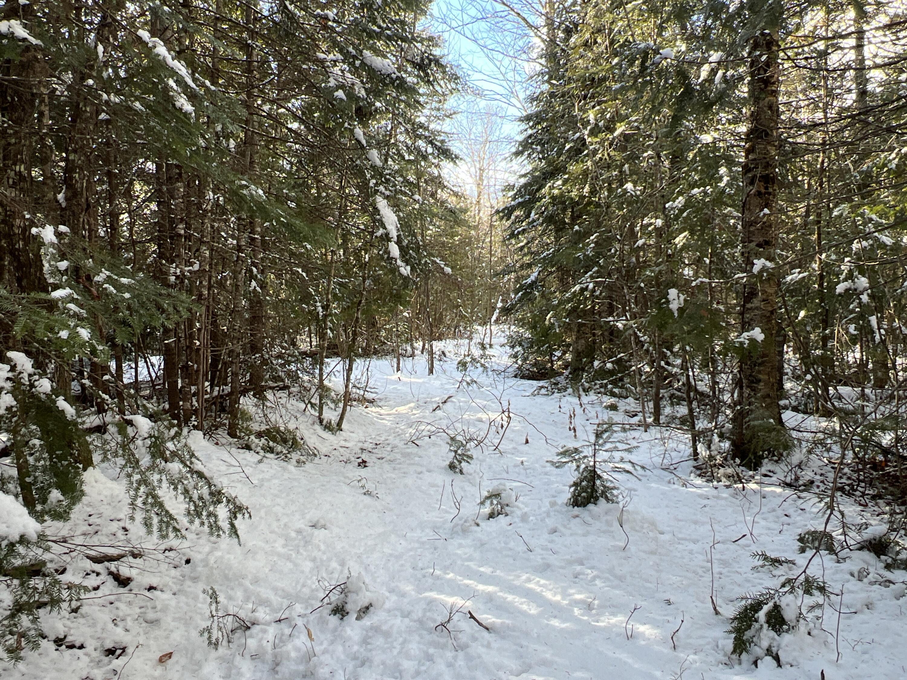17 Waters Road Patten, ME 04765 - Photo 24 of 31 IMG_2787