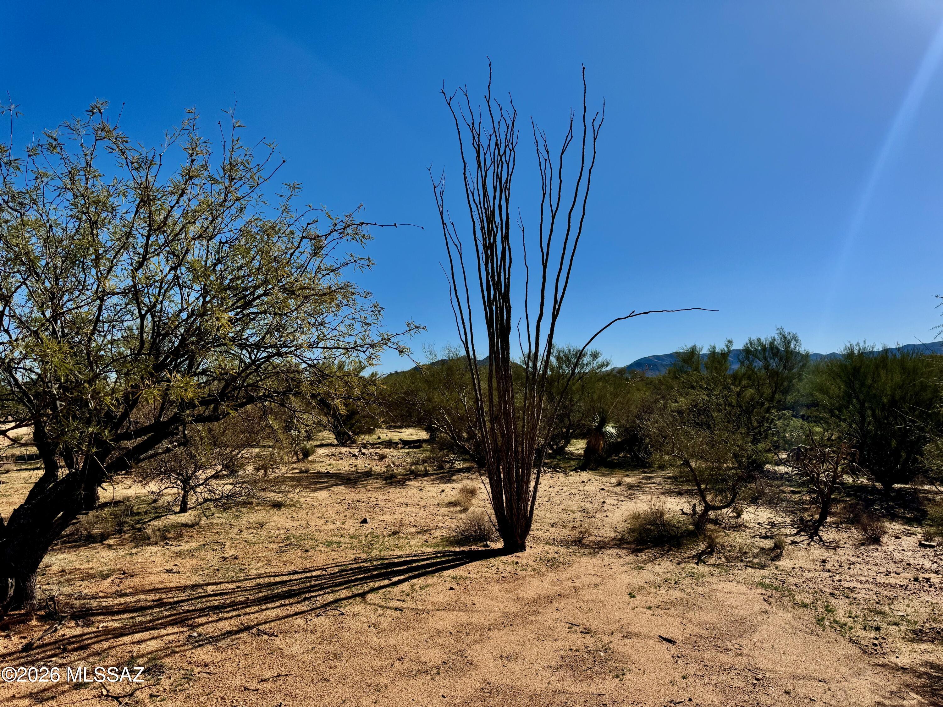 15783 West Phillips Road, Unit 151 Tucson, AZ 85736 - Photo 21 of 35