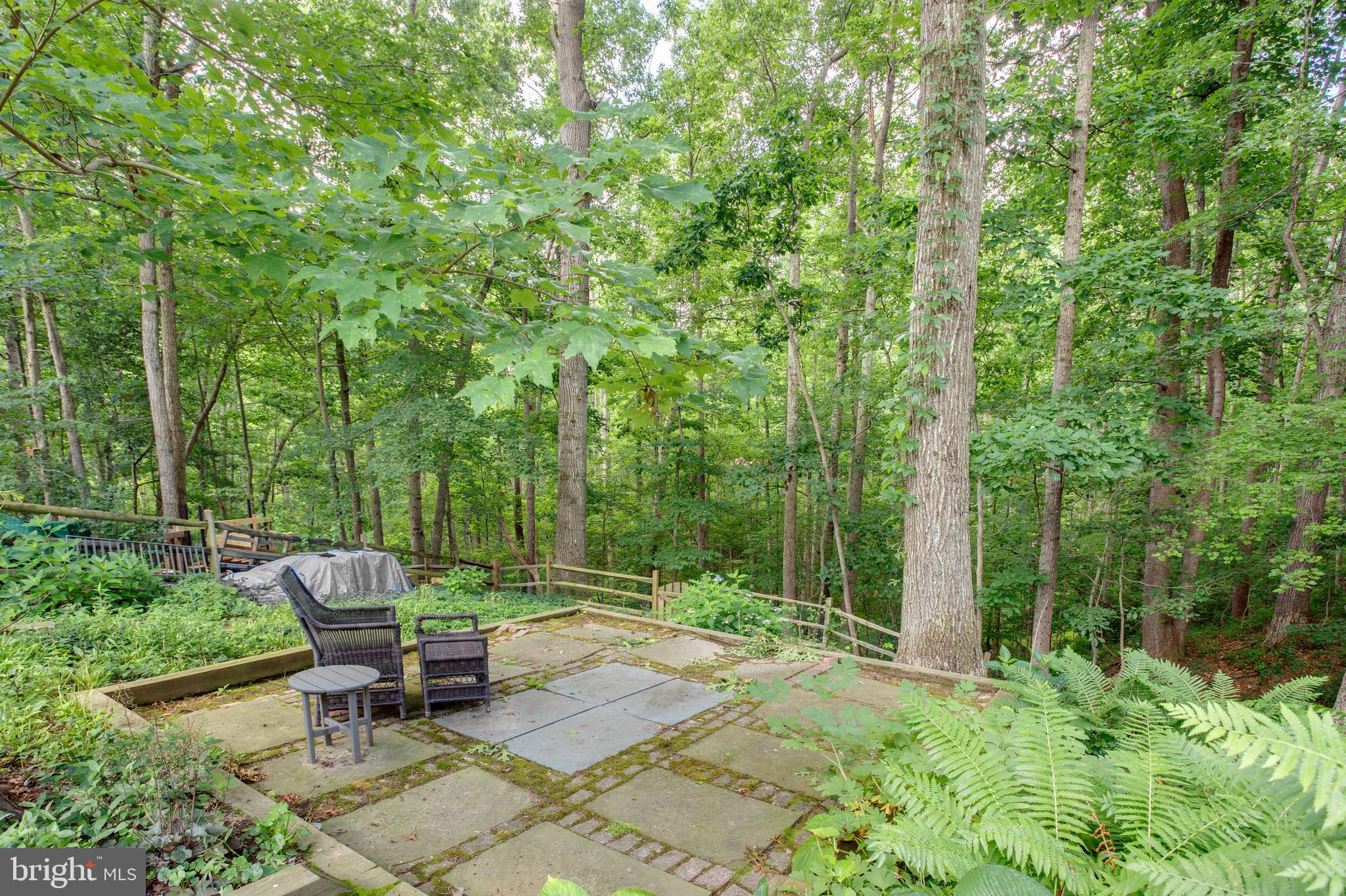 1960 Barton Hill Road Reston, VA 20191 - Photo 20 of 92 Very Private Backyard, Backs to Green Space