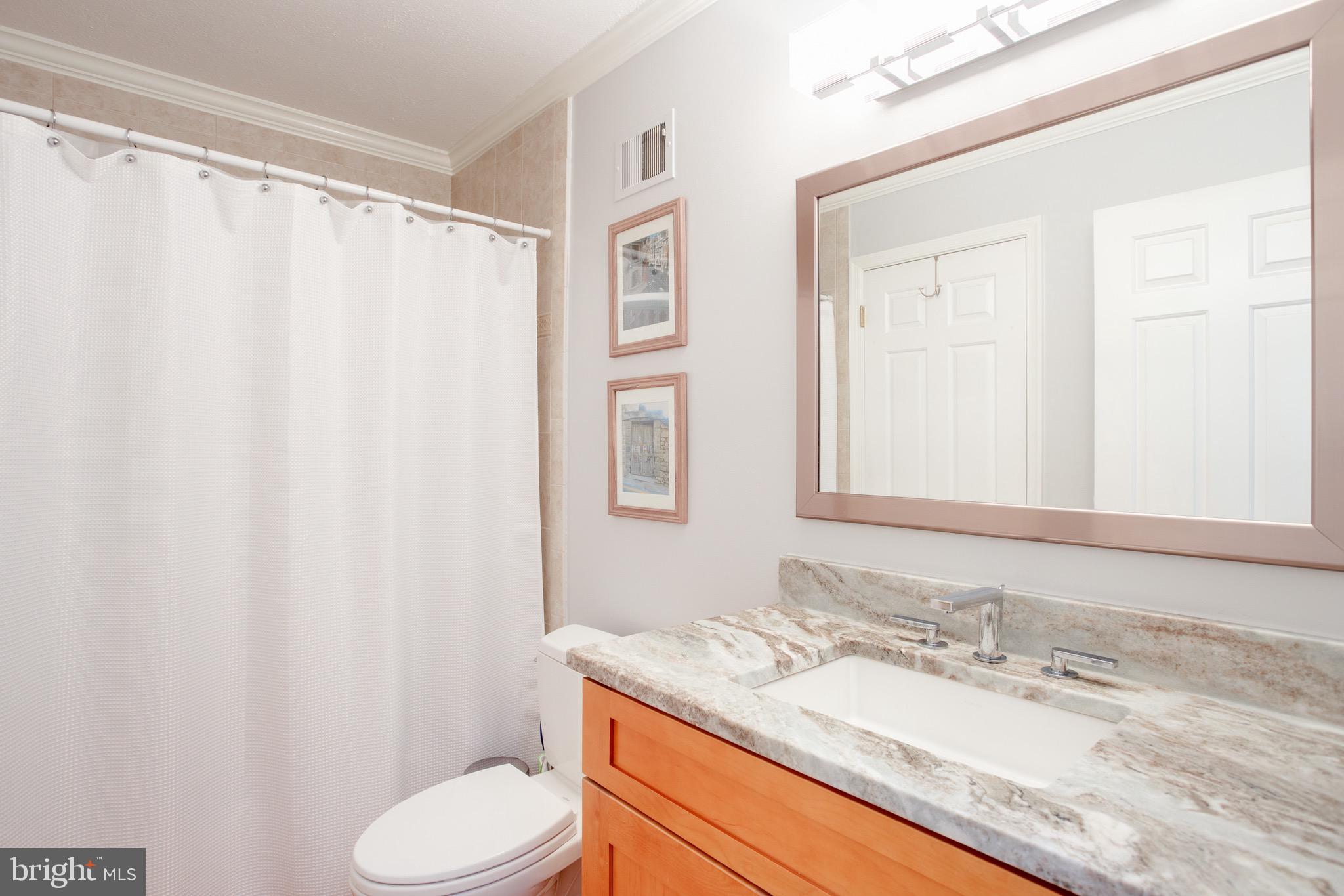 1960 Barton Hill Road Reston, VA 20191 - Photo 43 of 92 Main Floor Full Bath, Beautifully Updated (1)