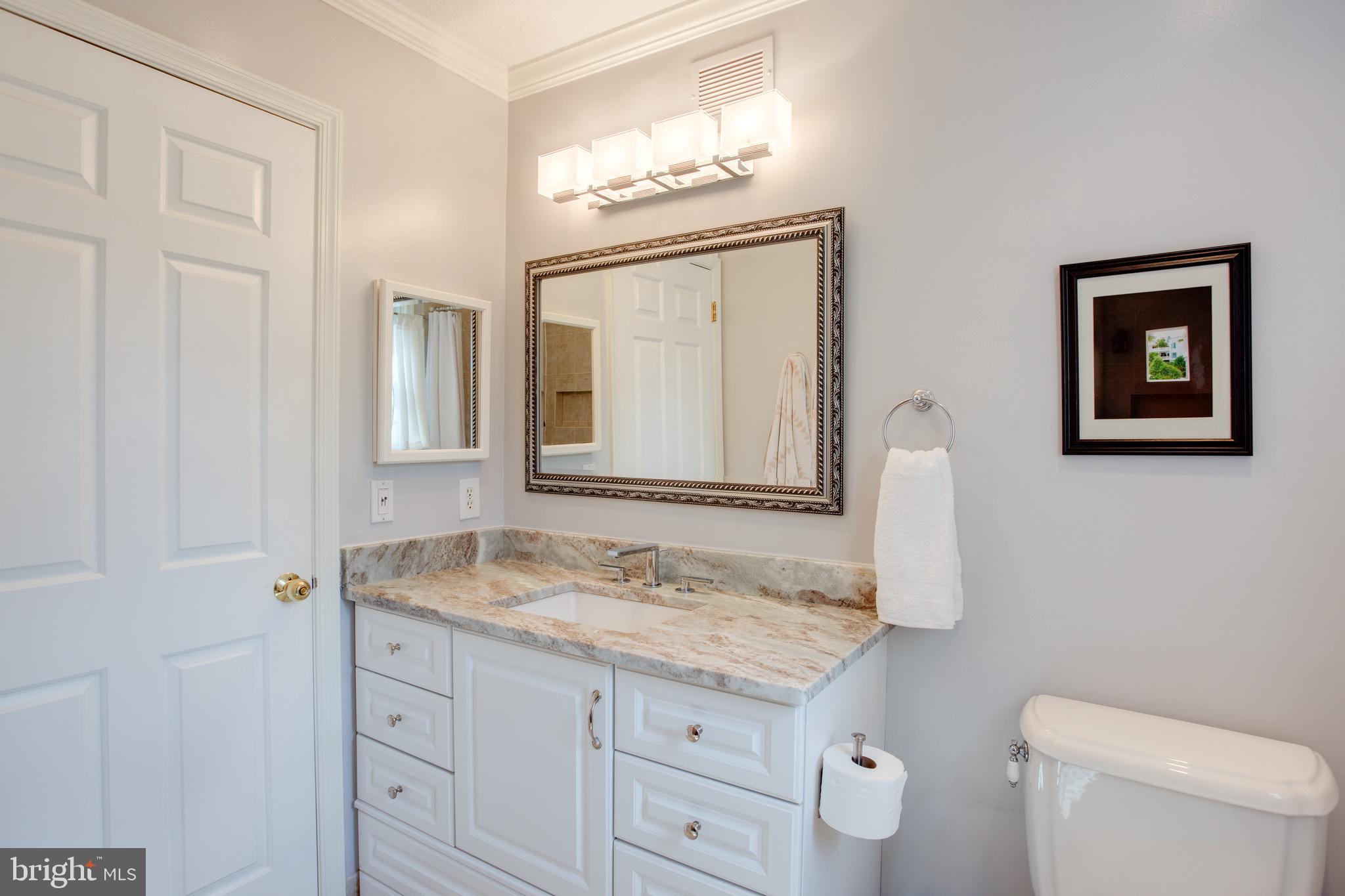 1960 Barton Hill Road Reston, VA 20191 - Photo 64 of 92 Upper Full Bathroom Beautifully Updated (2)
