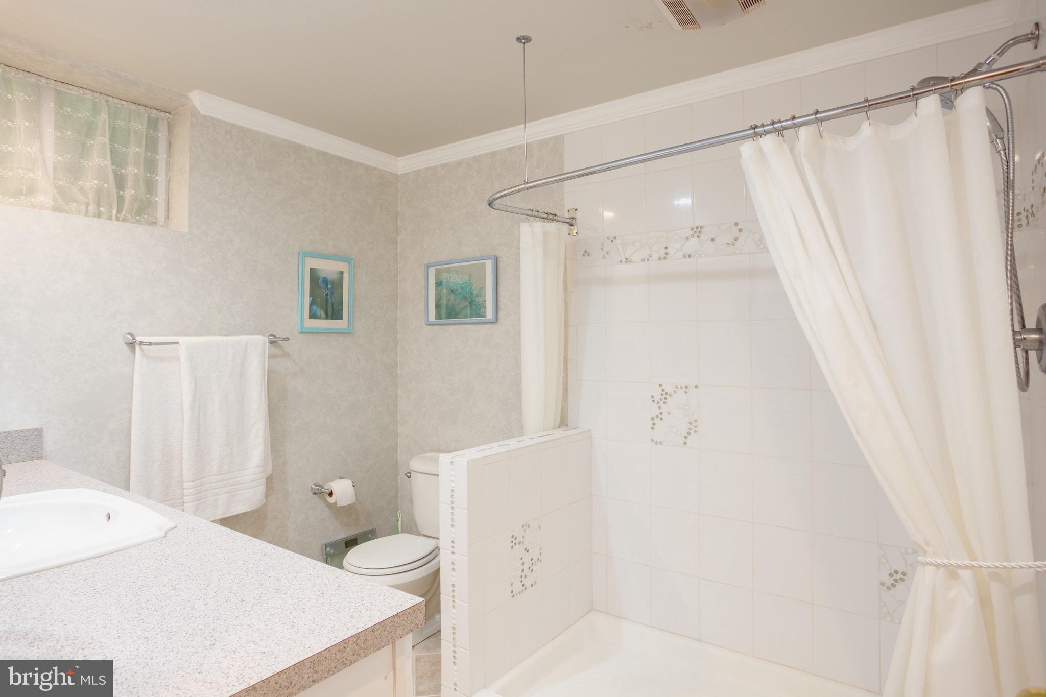 1960 Barton Hill Road Reston, VA 20191 - Photo 78 of 92 Lower Level Full Bathroom with Walk In Shower (4)