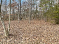 3 Nature Rdg Road Tullahoma, TN 37388 - Photo 1 of 4 Gallery Image 1