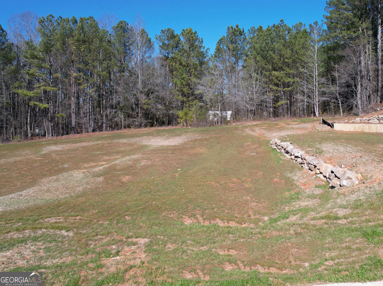 12 Rivers Edge Lane, Unit LOT 2 Franklin, GA 30217 - Photo 2 of 3 a view of a yard with large trees