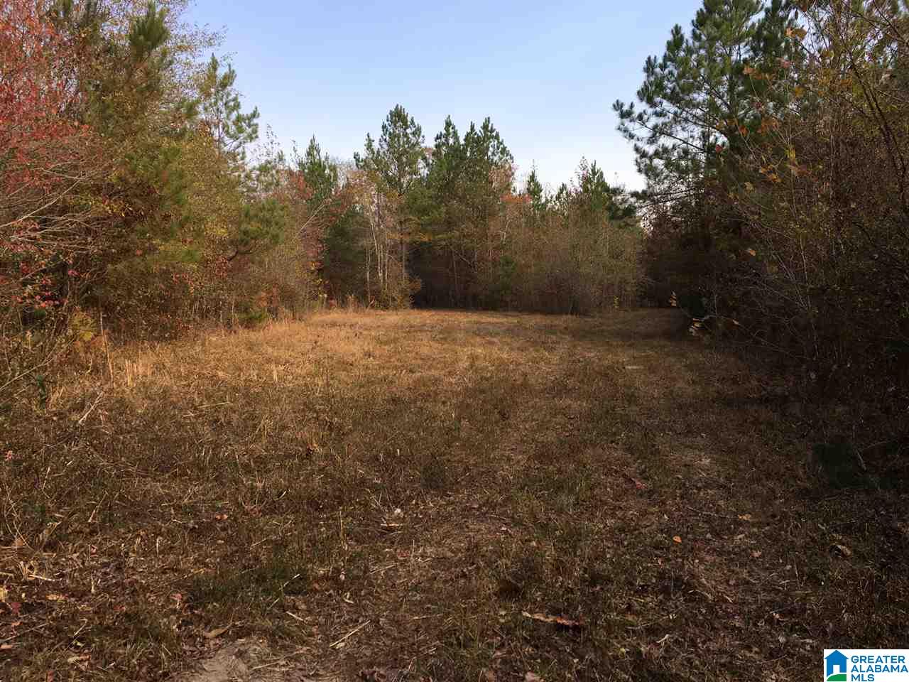 0 Wooden Trace Circle, Unit 30 Springville, AL 35146 - Photo 8 of 25