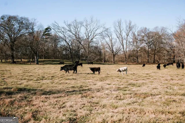 $776,400 | 0 Crawfordville Road, Lexington, GA 30648