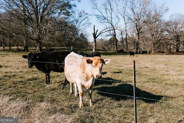 $776,400 | 0 Crawfordville Road, Lexington, GA 30648