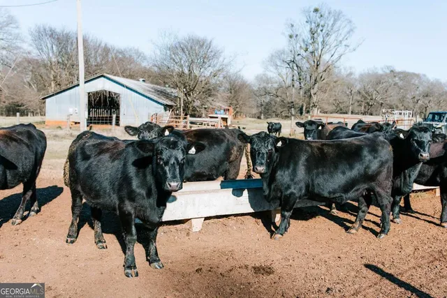 $776,400 | 0 Crawfordville Road, Lexington, GA 30648