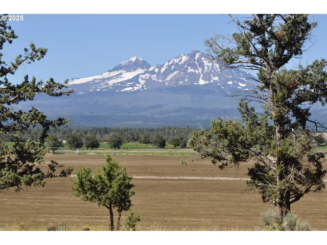 a view of a yard with an outdoor space