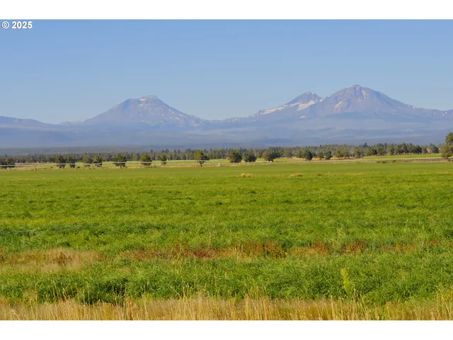 a view of a field with an ocean
