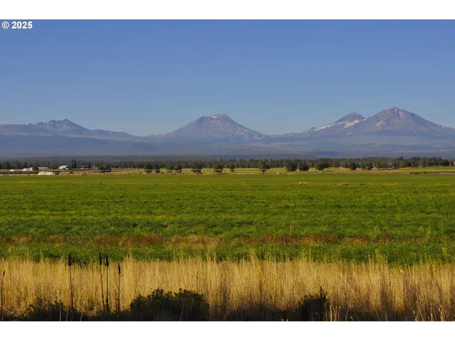 a view of a yard with wooden fence