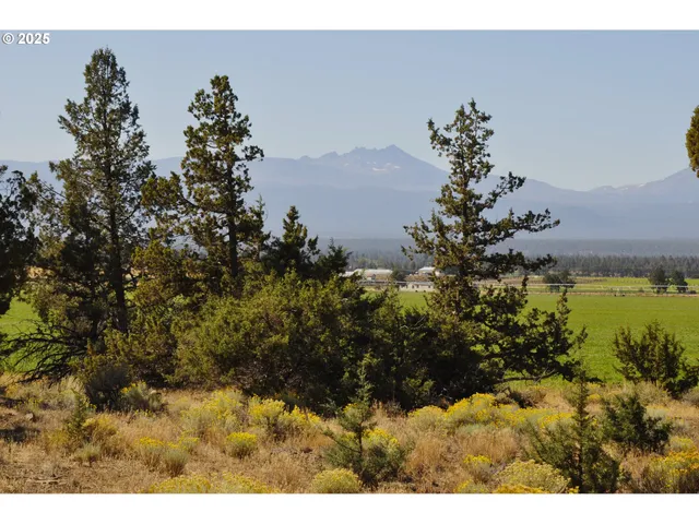 a view of a big yard with a mountain in the background