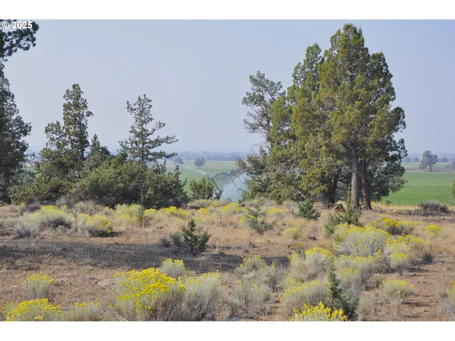 a view of outdoor space with trees