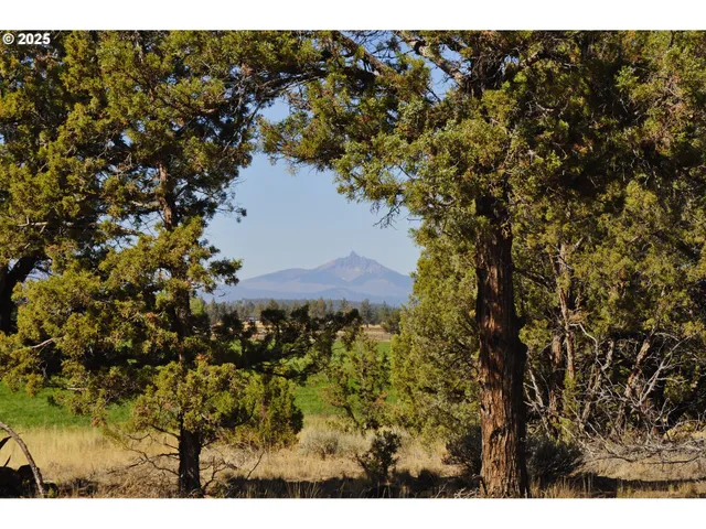 a view of a lake with houses in the back