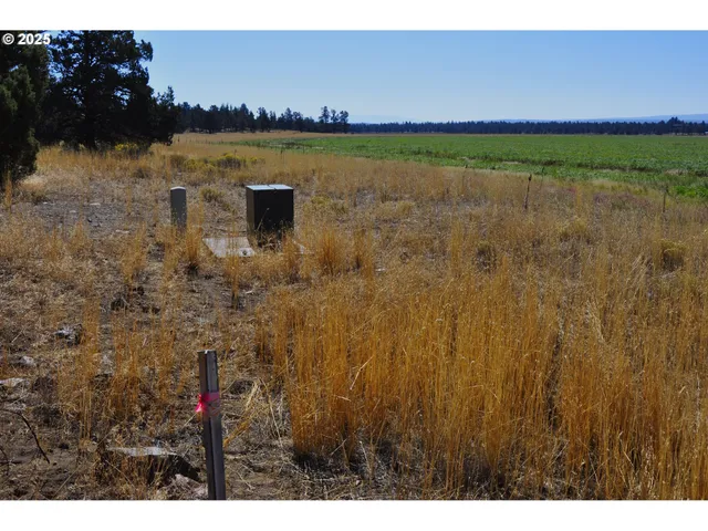 a view of an ocean and beach