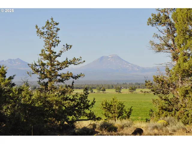 a view of a lake with a yard and large trees
