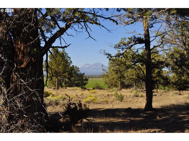 a view of an ocean and mountain
