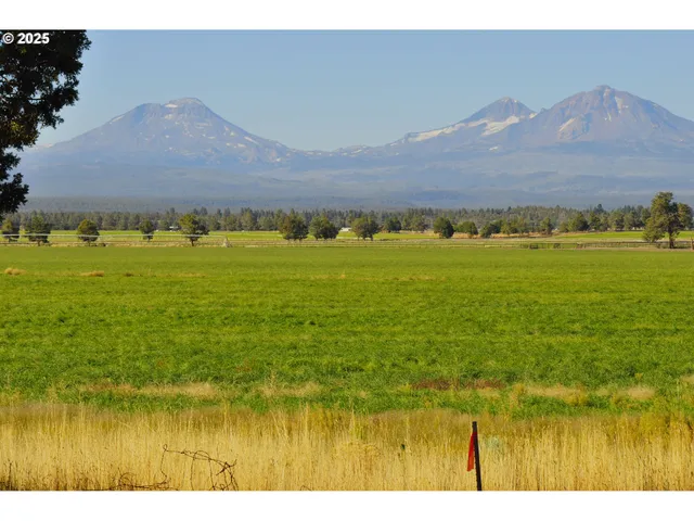 a view of a garden with a mountain