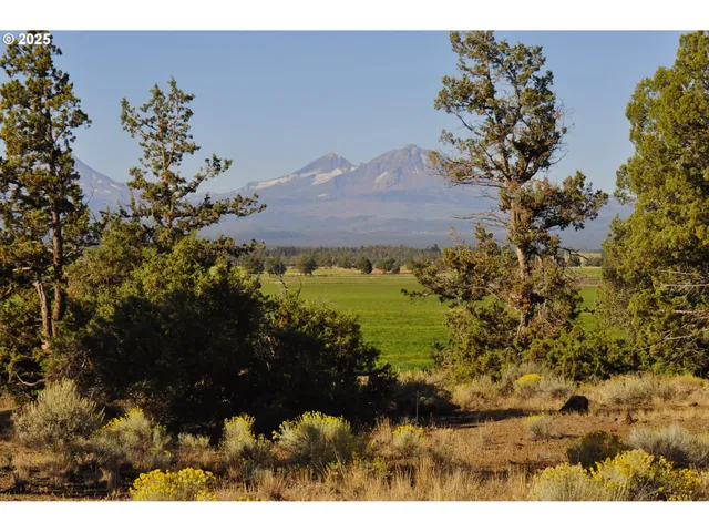 a view of dirt yard with a tree