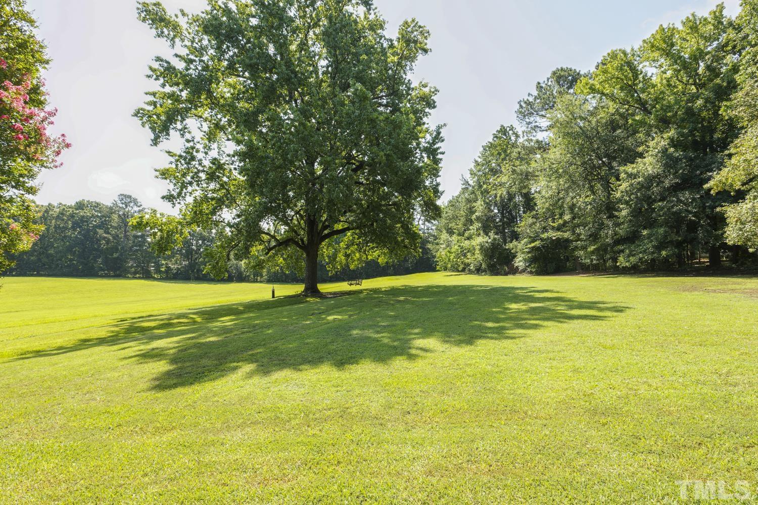 2822 Ellis Road Durham, NC 27703 - Photo 30 of 37 a view of a yard with a trees