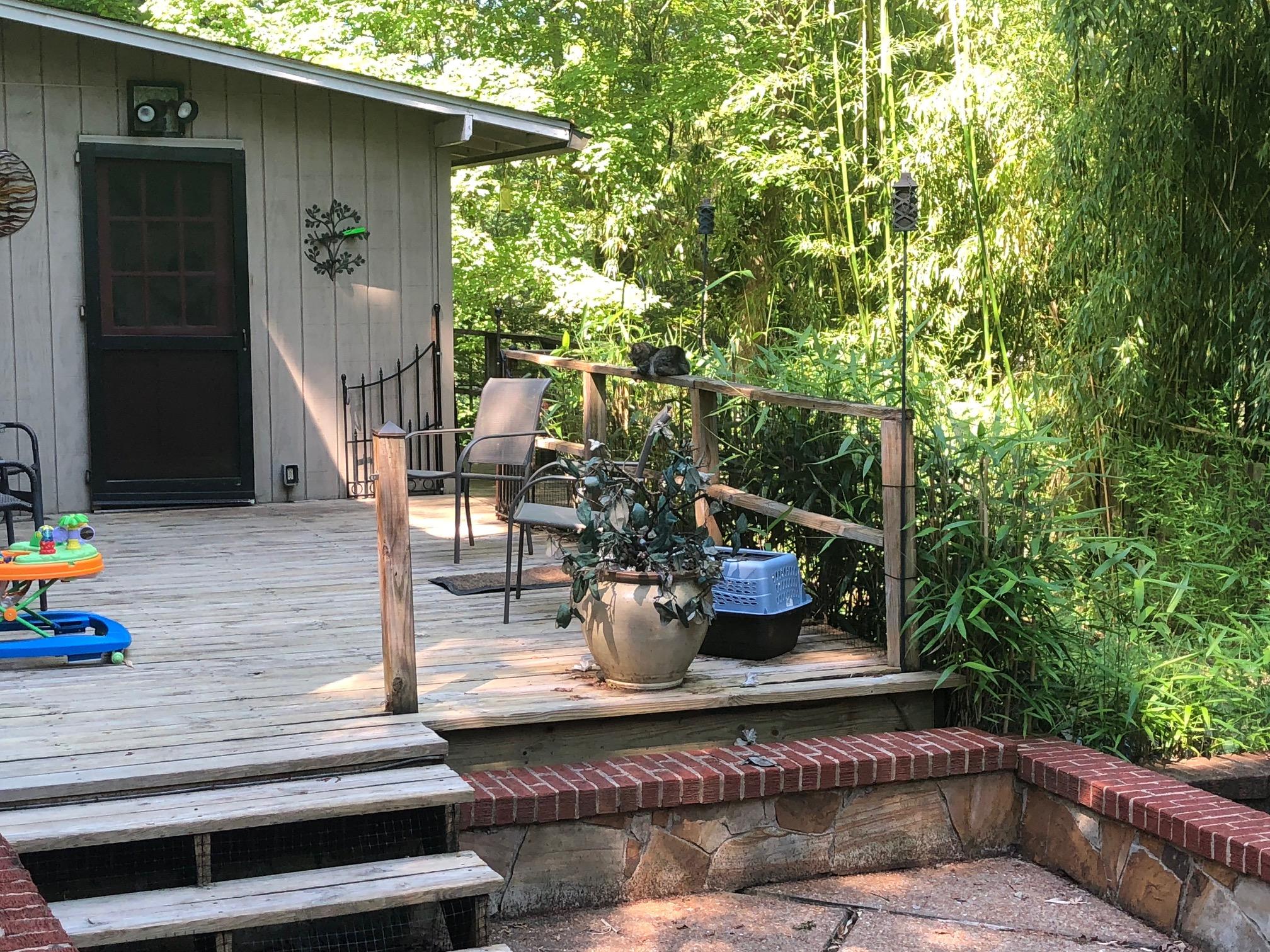511 Taylor Road Knoxville, TN 37920 - Photo 5 of 24 Taylor5