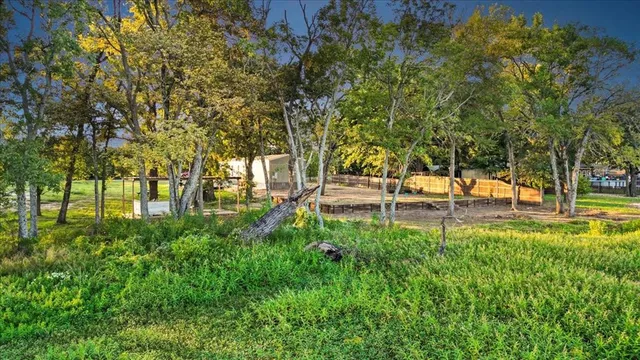 a view of a house with a tree