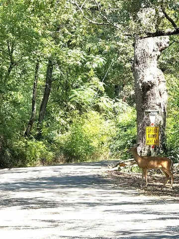 $1,800 | 409 Willow Street, Wills Point, TX 75169