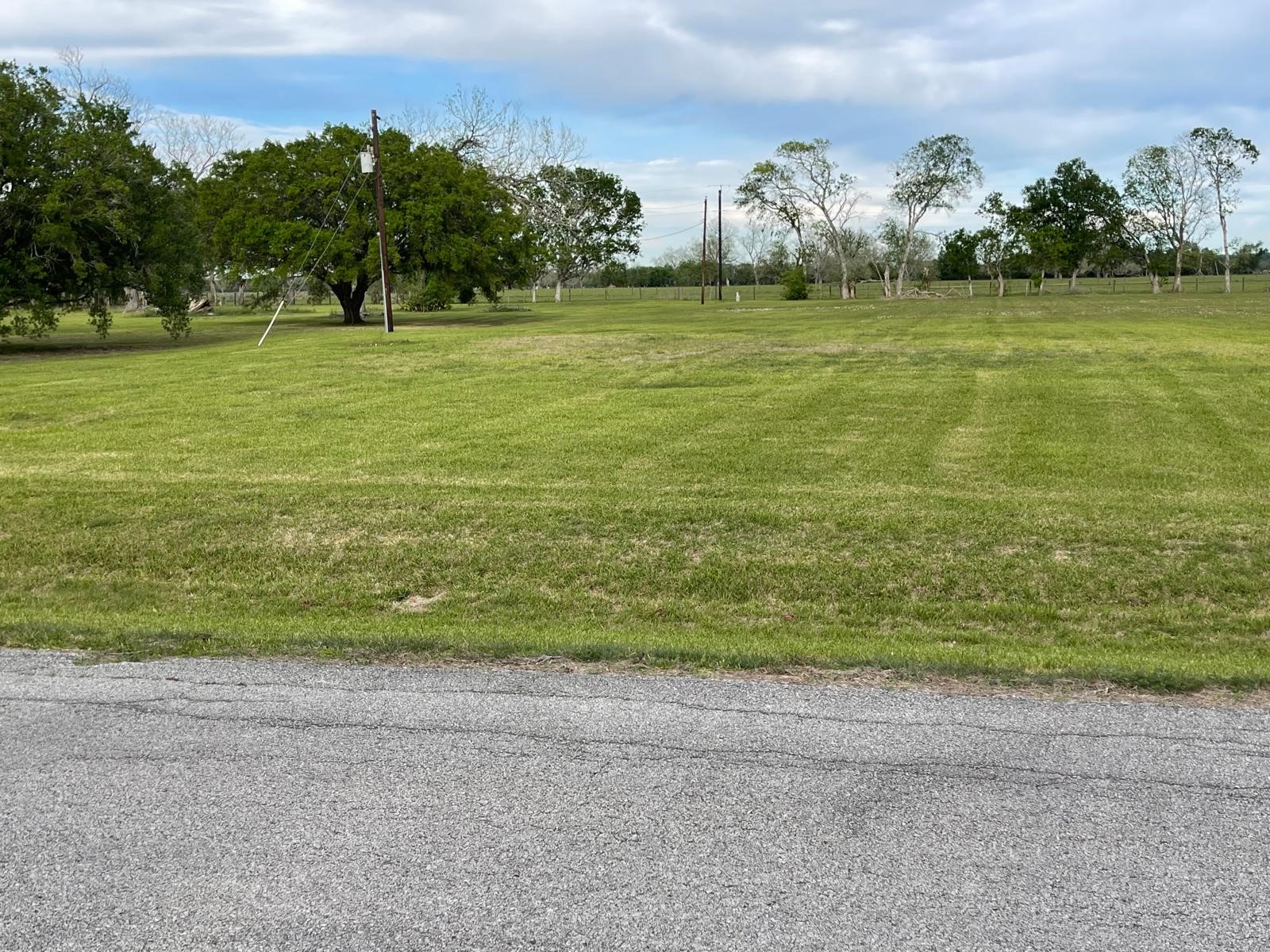 335 Carroll Road Richmond, TX 77469 - Photo 5 of 25 a view of a field with an trees