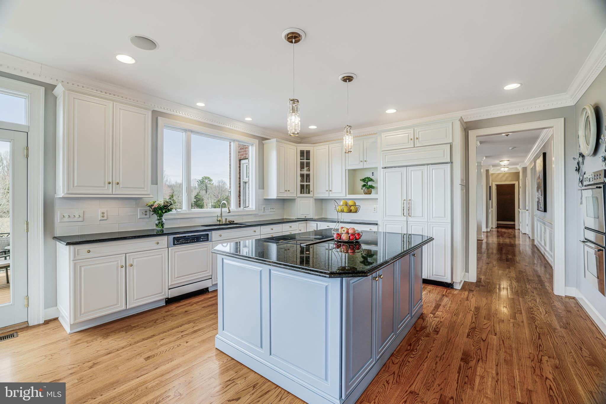 22609 Hillside Circle Leesburg, VA 20175 - Photo 54 of 110 Kitchen