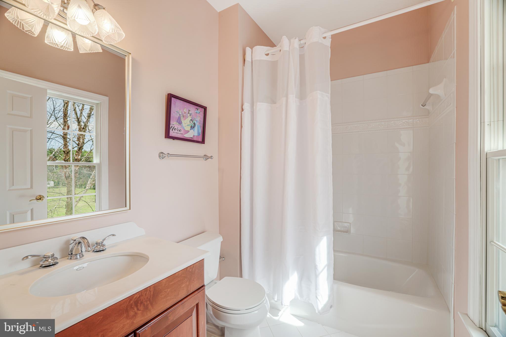 22609 Hillside Circle Leesburg, VA 20175 - Photo 69 of 110 a bathroom with a sink a toilet and a large mirror
