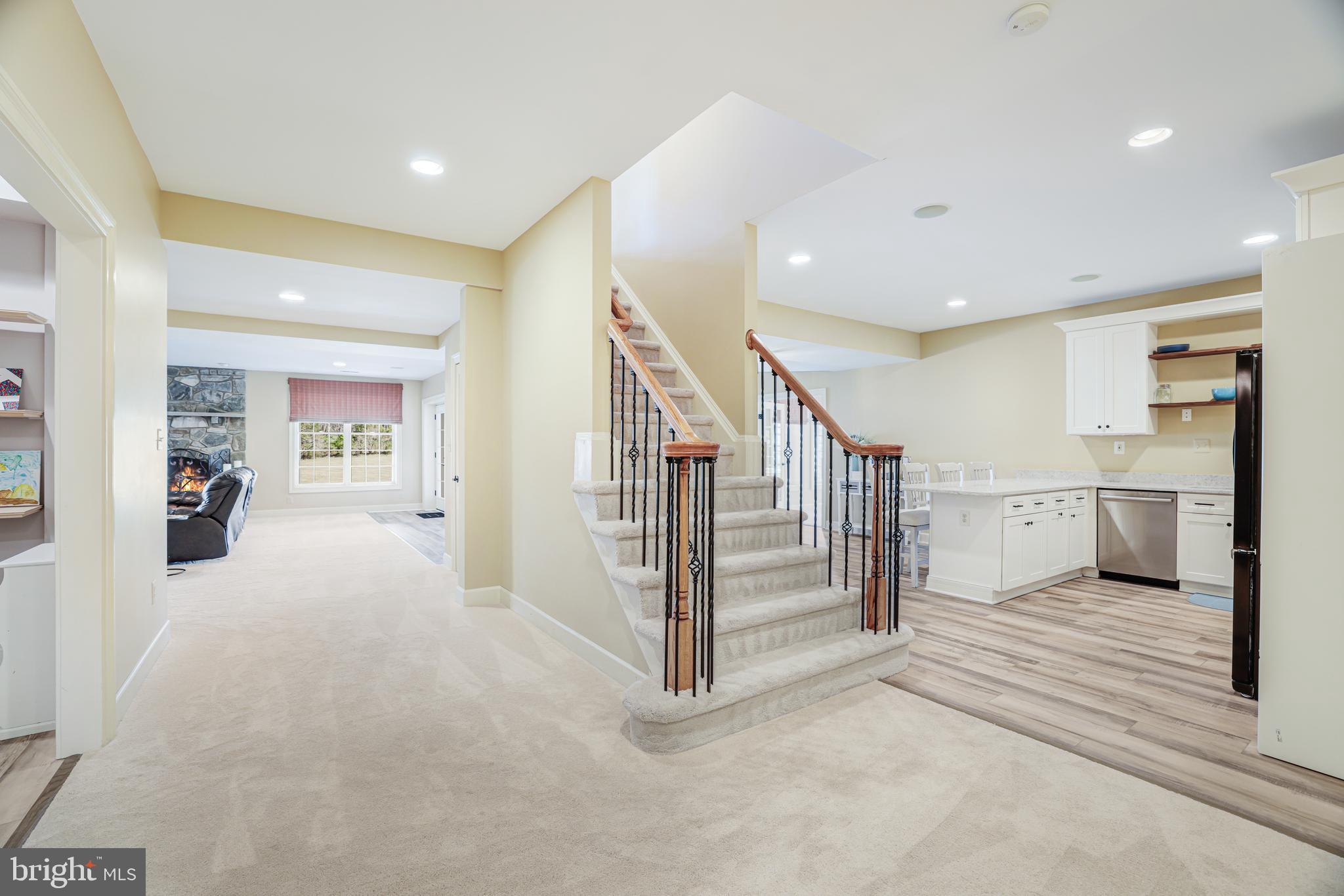 22609 Hillside Circle Leesburg, VA 20175 - Photo 90 of 110 Lower level