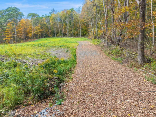 $55,000 | Undisclosed Address, Summit, NY 12064