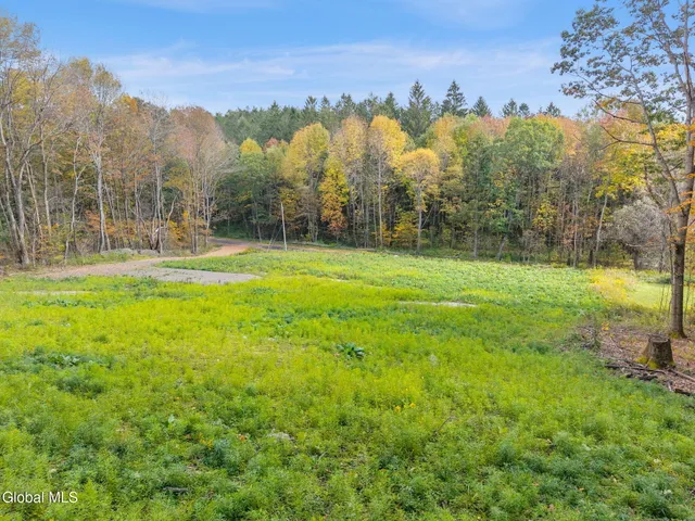 $55,000 | Undisclosed Address, Summit, NY 12064