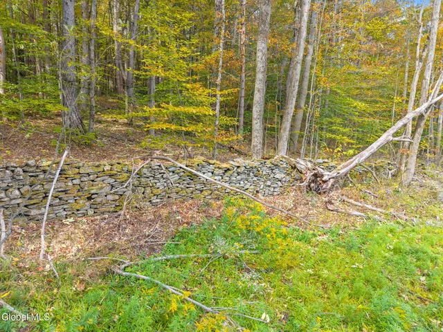 $55,000 | Undisclosed Address, Summit, NY 12064