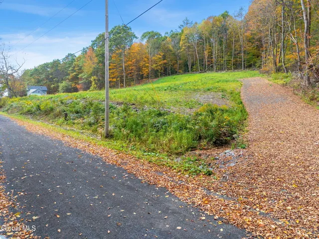 $55,000 | Undisclosed Address, Summit, NY 12064