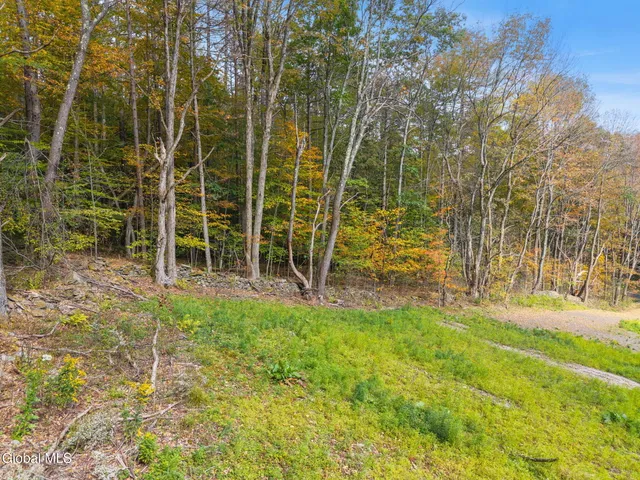 $55,000 | Undisclosed Address, Summit, NY 12064