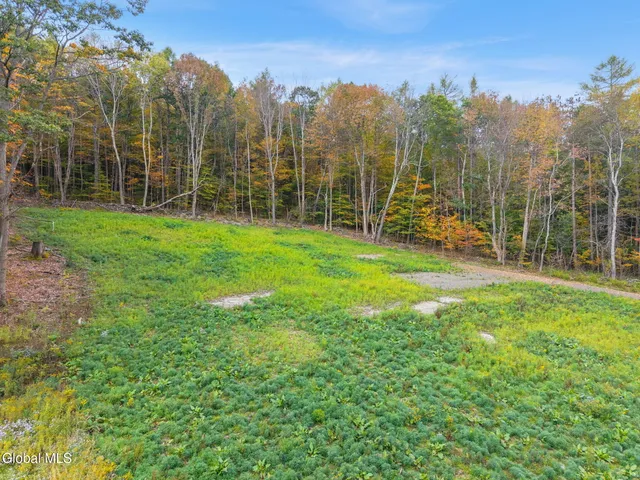 $55,000 | Undisclosed Address, Summit, NY 12064