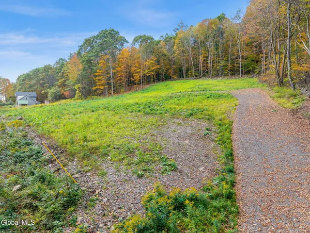 $55,000 | Undisclosed Address, Summit, NY 12064