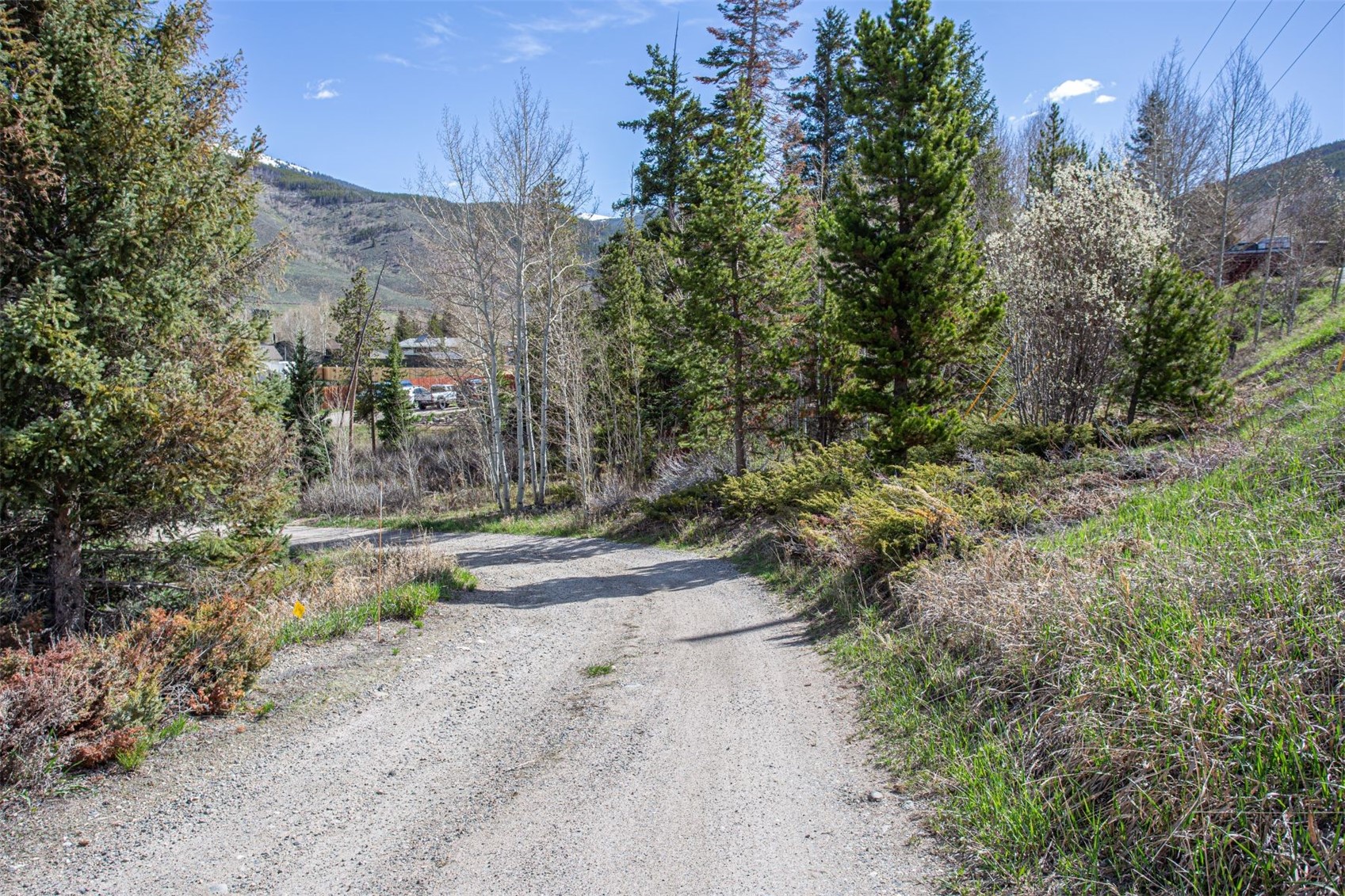 577 Deer Path Road Dillon, CO 80435 - Photo 8 of 27 Gallery Image 8
