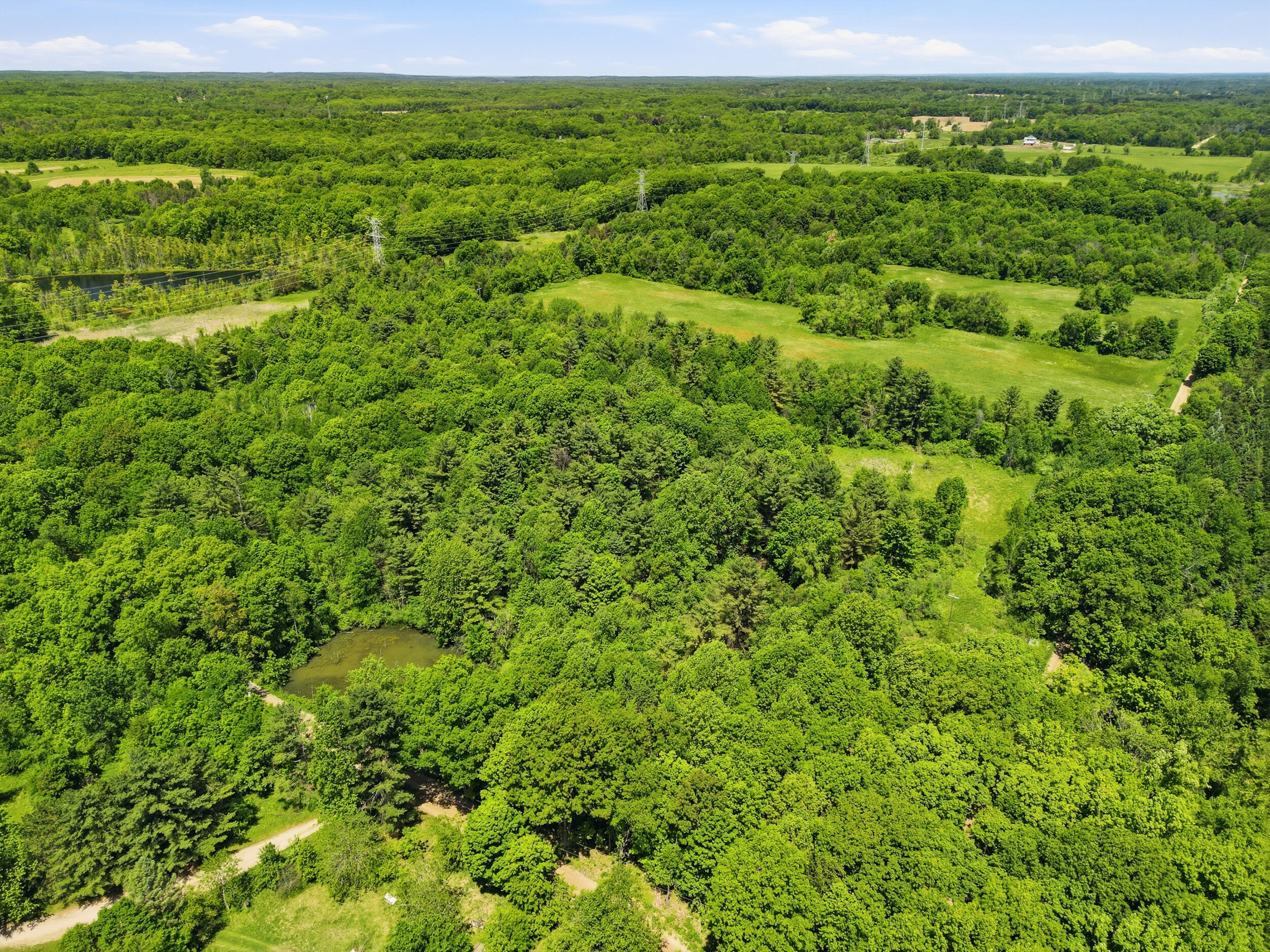 Hagerman Road Leonard, MI 48367 - Photo 11 of 51 8_a-3