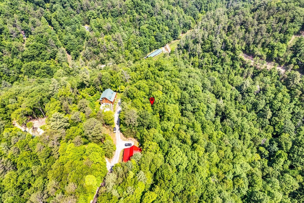 3 Clearview Road Sevierville, TN 37862 - Photo 10 of 18 Gallery Image 10