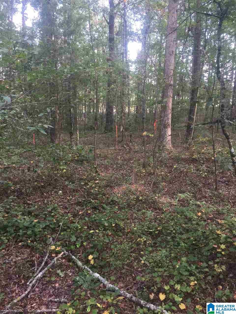 241 Sulphur Springs Road, Unit 9 89 ACRES Lincoln, AL 35096 - Photo 4 of 44