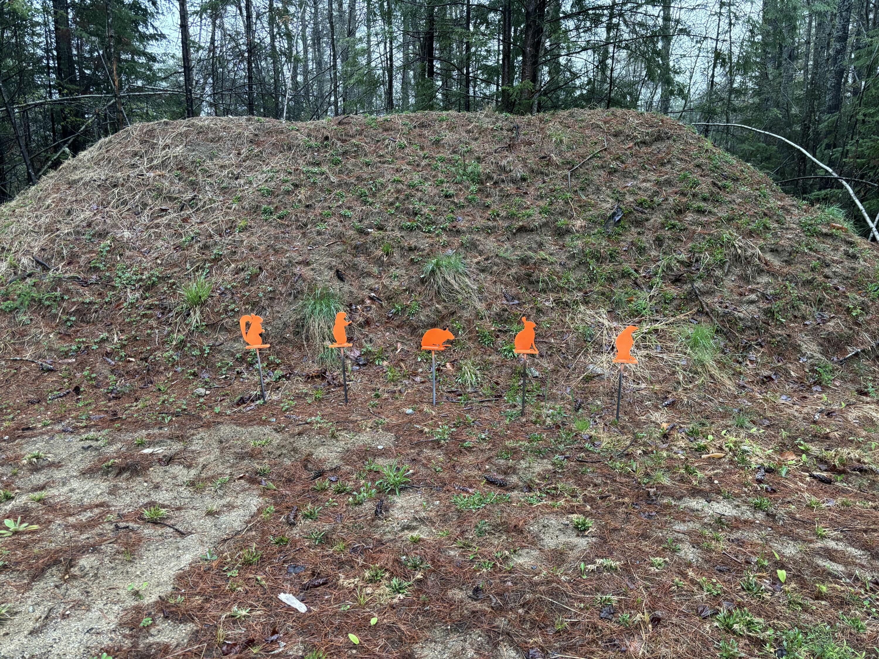 29 Farnsworth Road Brownfield, ME 04010 - Photo 31 of 33