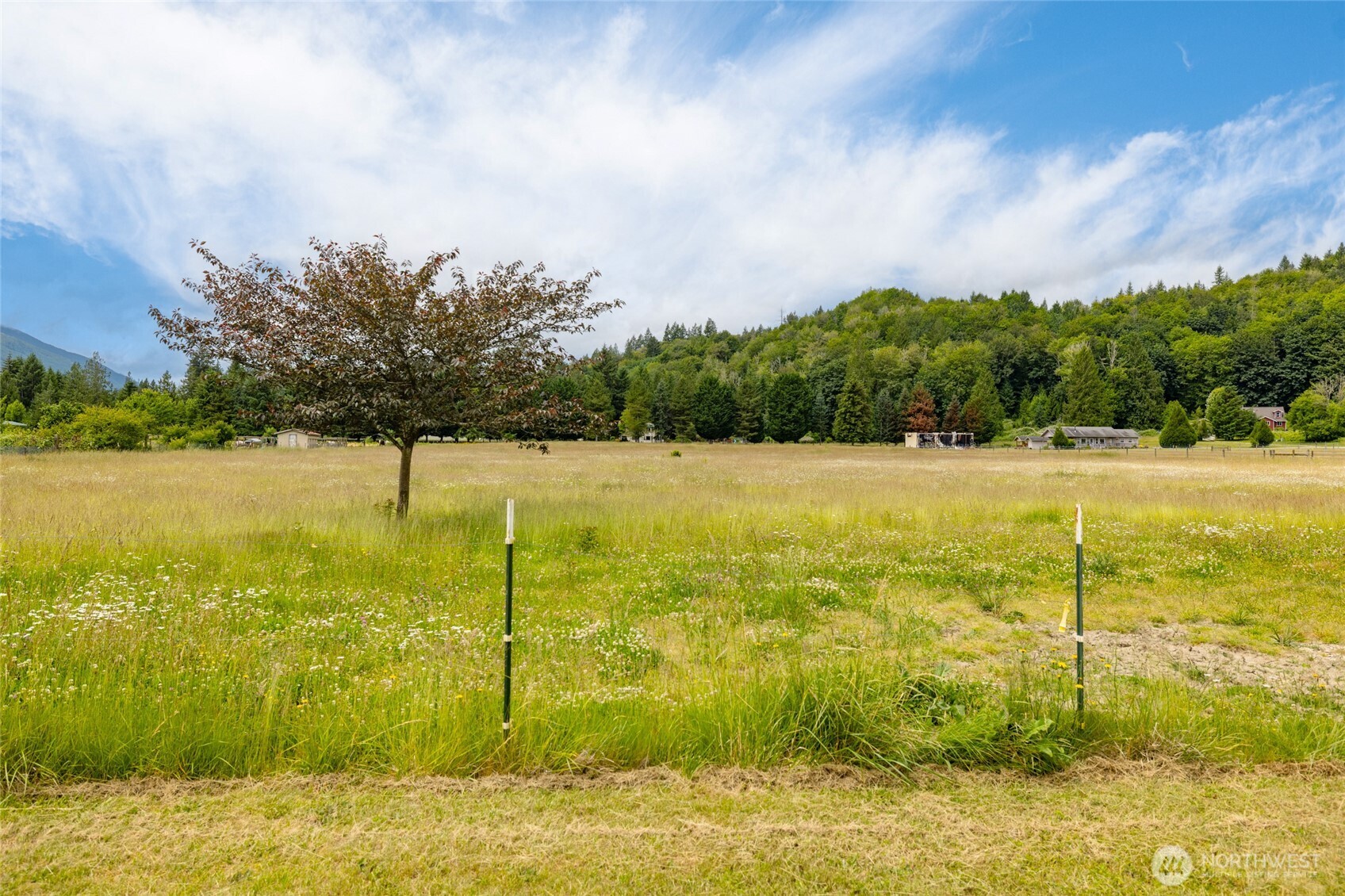 7090 North Wilde Road Concrete, WA 98237 - Photo 19 of 19