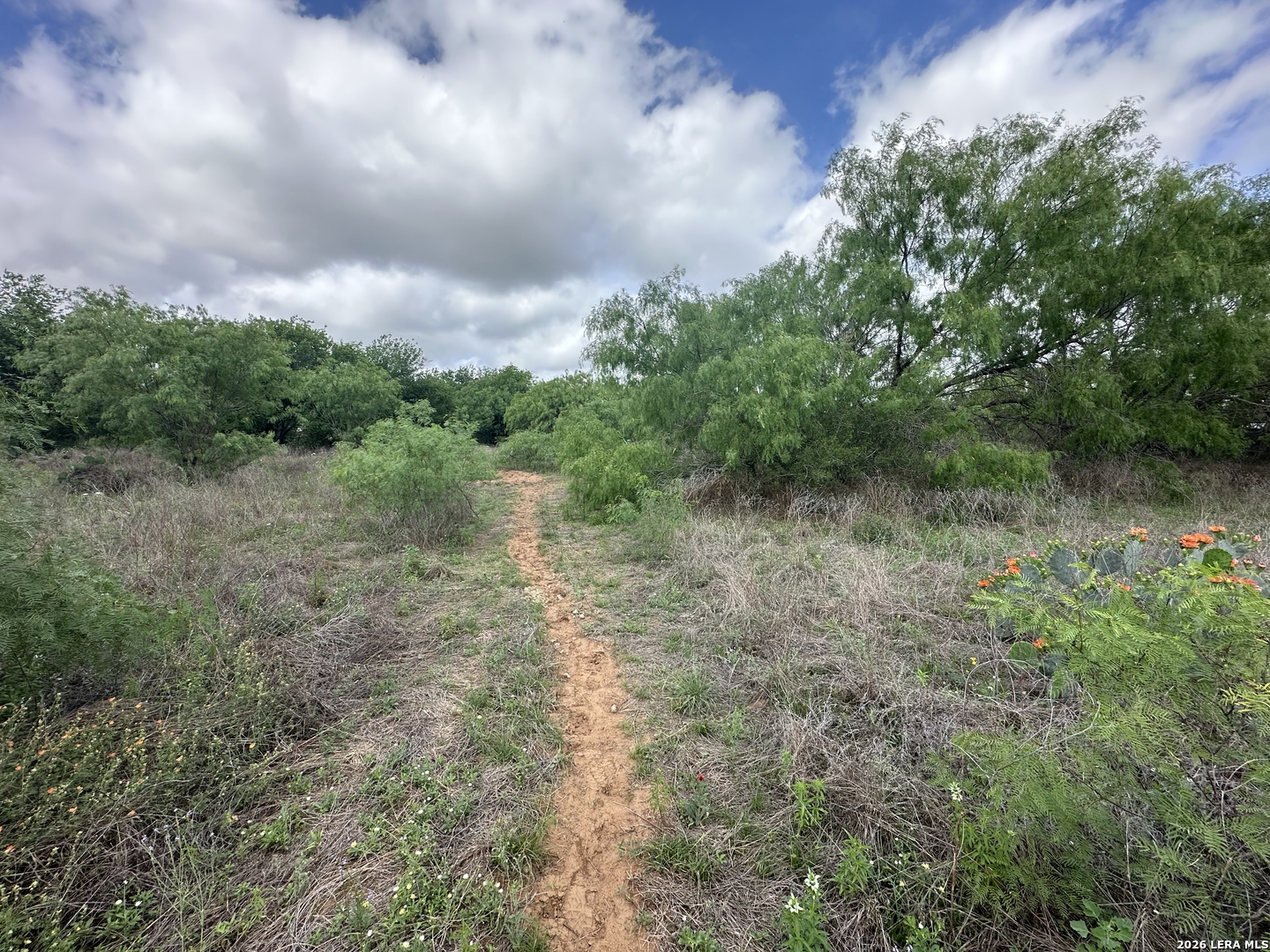 17603 Shepherd Road Atascosa, TX 78002 - Photo 5 of 11
