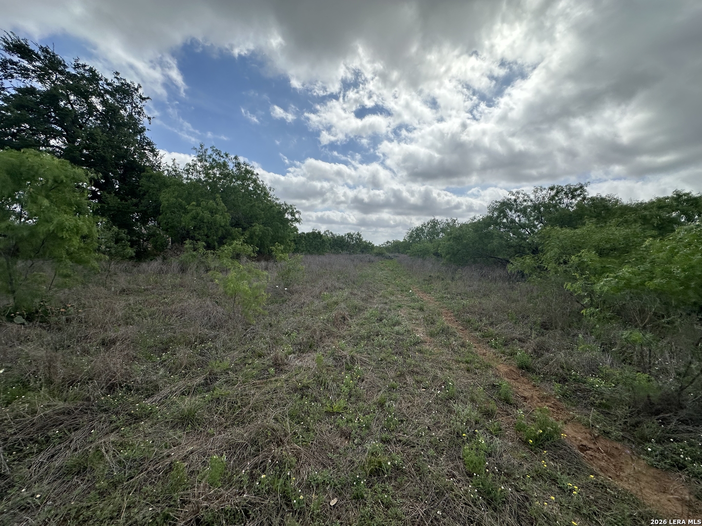17603 Shepherd Road Atascosa, TX 78002 - Photo 6 of 11