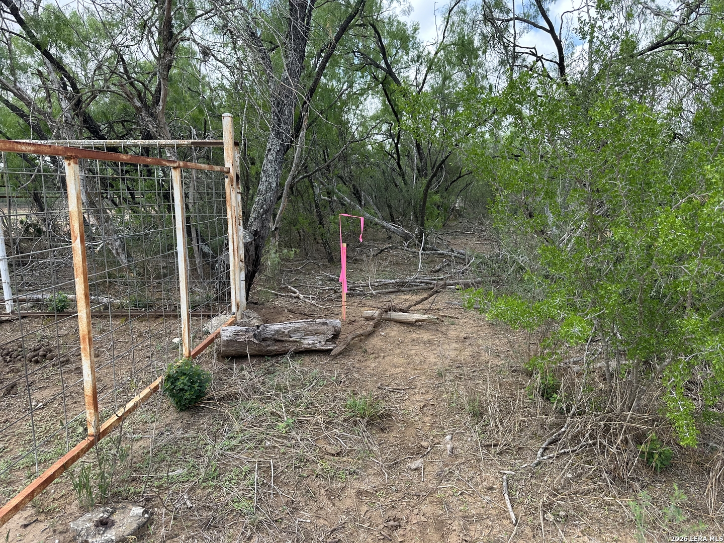 17603 Shepherd Road Atascosa, TX 78002 - Photo 7 of 11