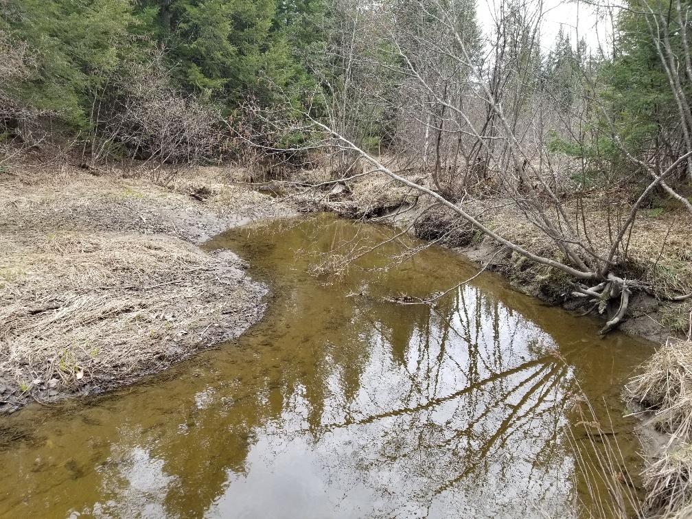 0 Weeks Mills Road New Sharon, ME 04955 - Photo 26 of 38 Salt marsh creek 9