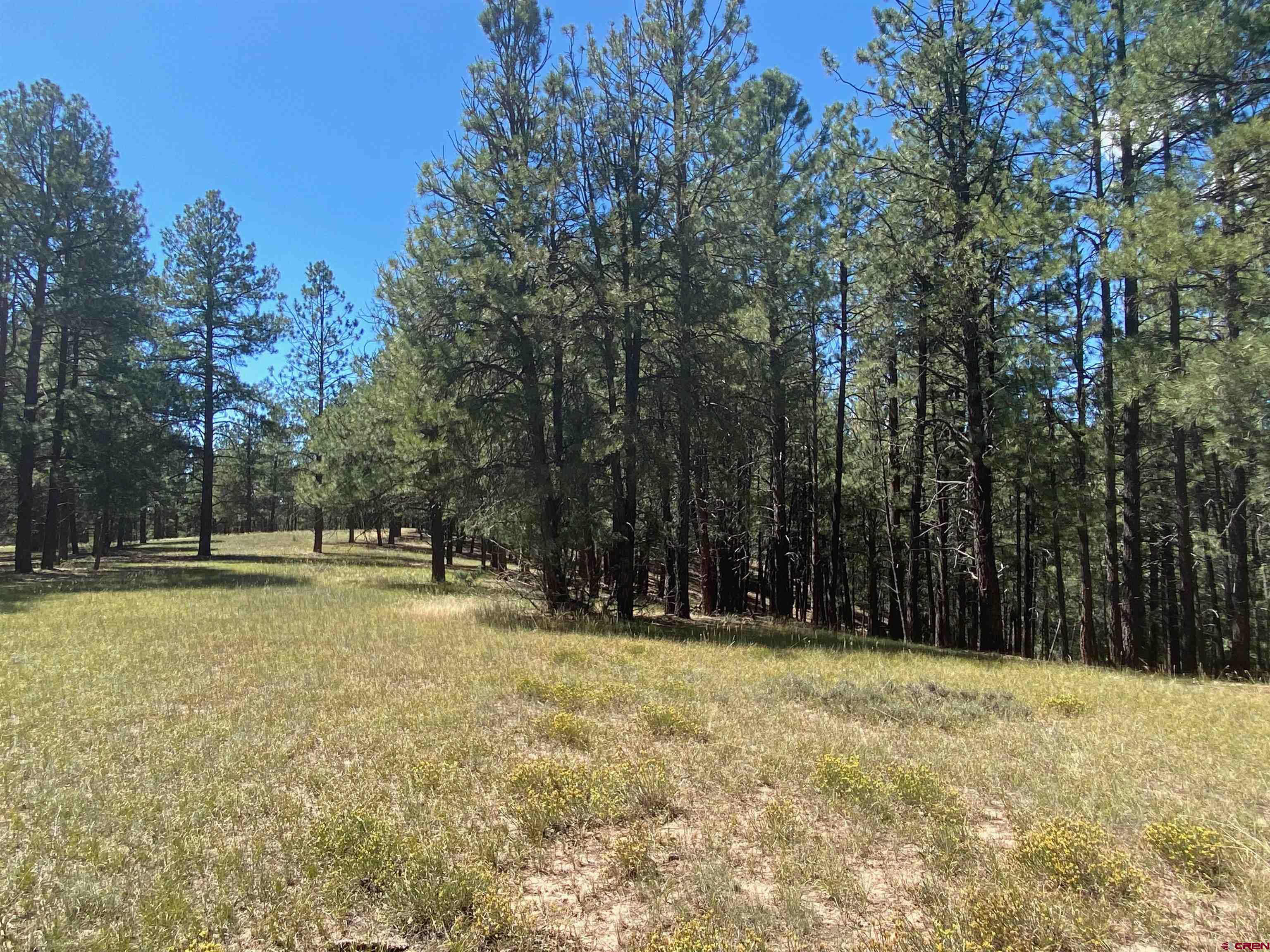 X Rumbaugh Road Pagosa Springs, CO 81147 - Photo 16 of 21 Gallery Image 16
